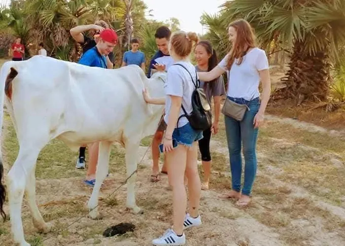 Happy Siemreap - Local Vibe Farm stay *