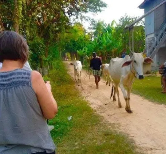 Happy Siemreap - Local Vibe Farm stay *
